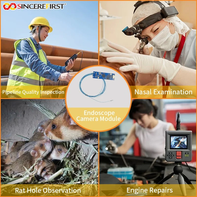 product-800-800 product-800-800